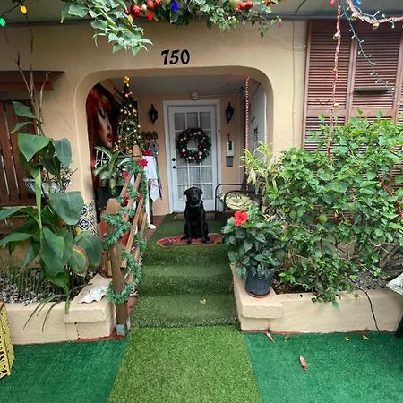 Habitacion Centrica Calle 8 Miami Dış mekan fotoğraf