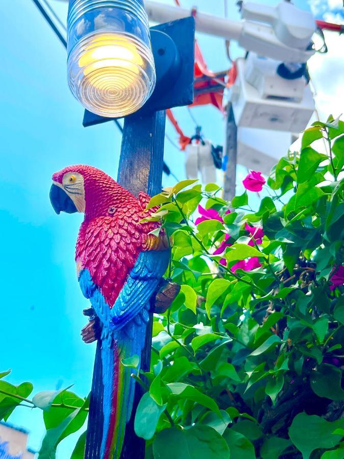 Habitacion Centrica Calle 8 Miami Dış mekan fotoğraf